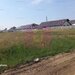 Teren, zona Dobroesti Pantelimon